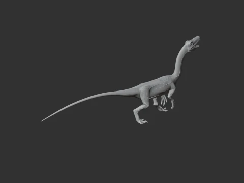 Segisaurus 3D Model