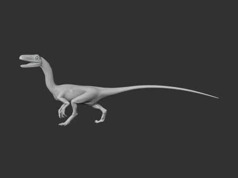 Segisaurus 3D Model