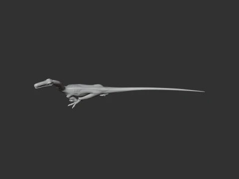 Segisaurus 3D Model