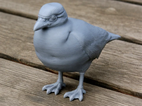 Sheathbill Bird Modelo 3D