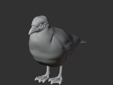 Sheathbill Bird 3D Model
