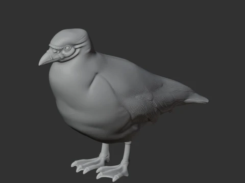 Sheathbill Bird 3D Model