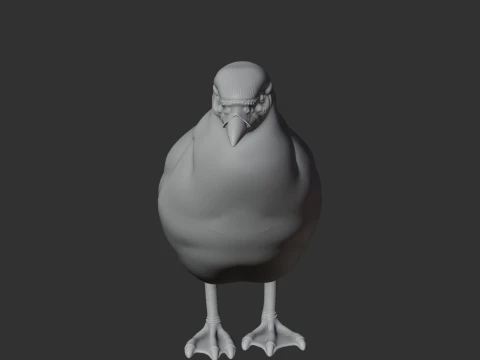 Sheathbill Bird 3D Model