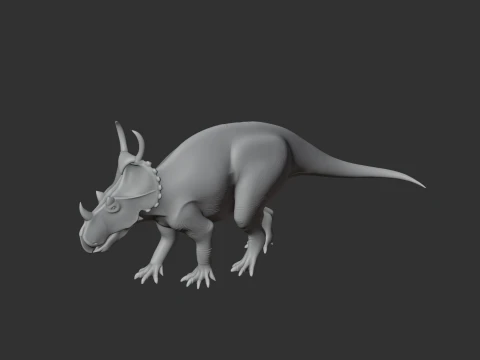 Spinops 3D Model