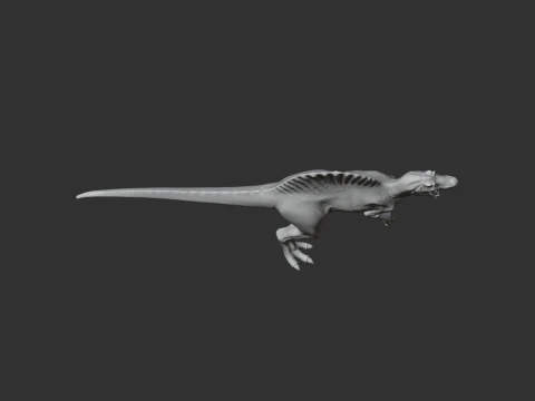 Spinosaurus 3D Model