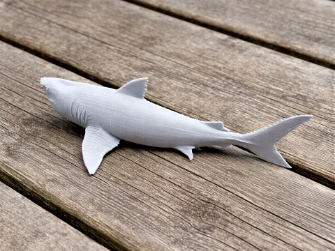 Squalicorax Model 3D