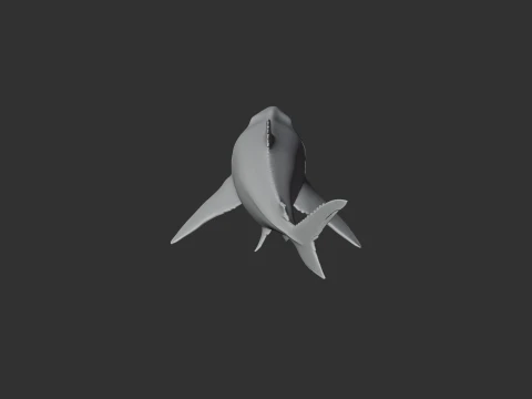 Squalicorax 3D Model