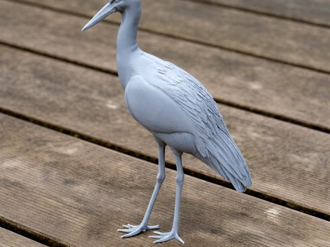 Stork 3D Model