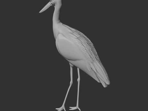 Stork 3D Model