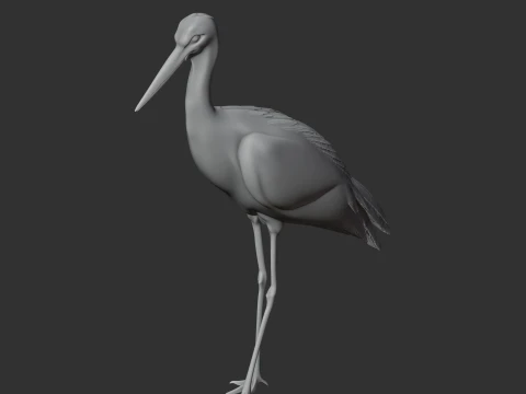 Stork 3D Model