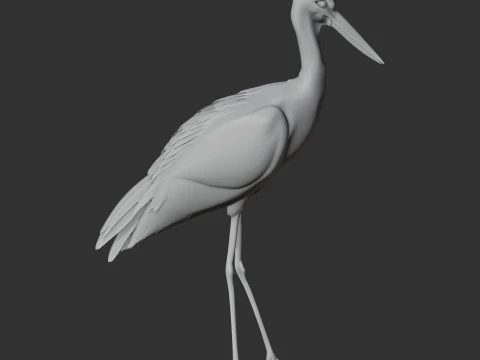 Stork 3D Model