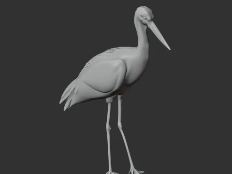 Stork 3D Model