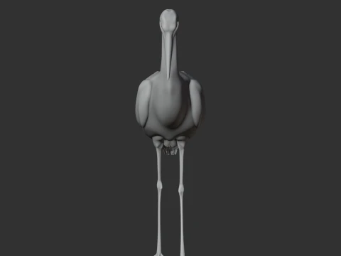 Stork 3D Model