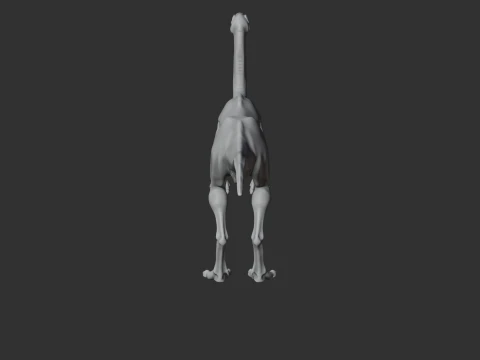 Struthiomimus 3D Model