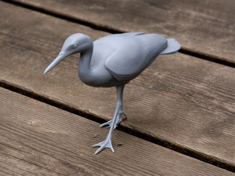 Sunbittern Bird 3D Model