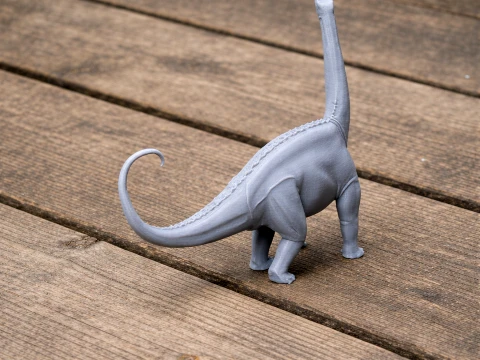 Suuwassea 3D Model