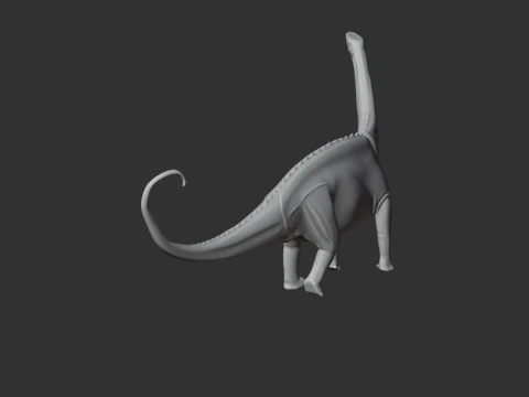 Suuwassea 3D Model