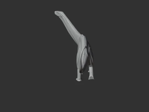 Suuwassea 3D Model