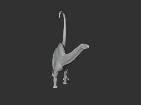 Suuwassea 3D Model