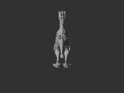 Tachiraptor 3D Model