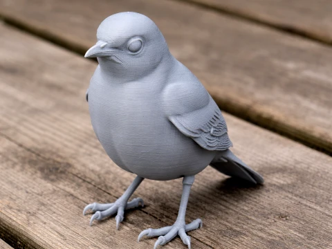 Thrush Model 3D