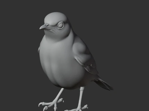 Thrush 3D Model
