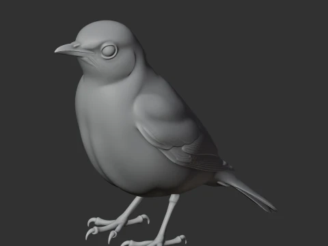 Thrush 3D Model