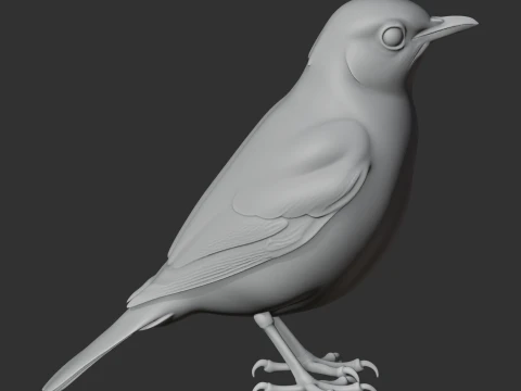 Thrush 3D Model