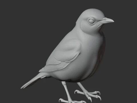 Thrush 3D Model