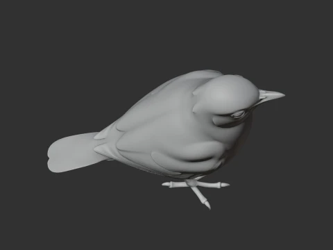 Thrush 3D Model