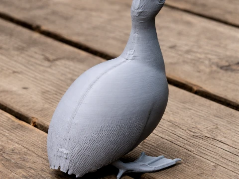 Tinamou Bird Model 3D