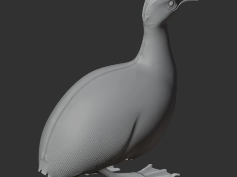 Tinamou Bird 3D Model