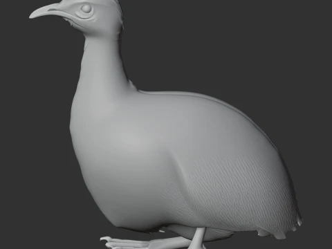 Tinamou Bird 3D Model