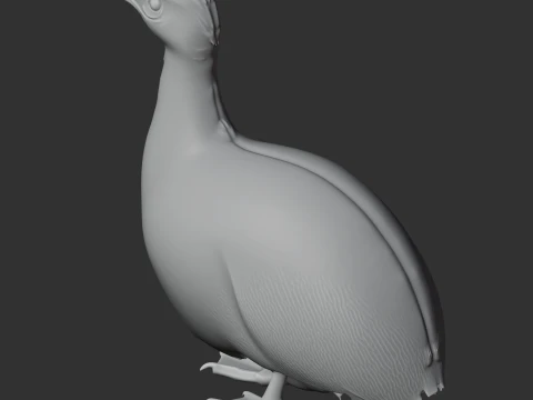 Tinamou Bird 3D Model