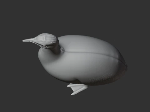 Tinamou Bird 3D Model