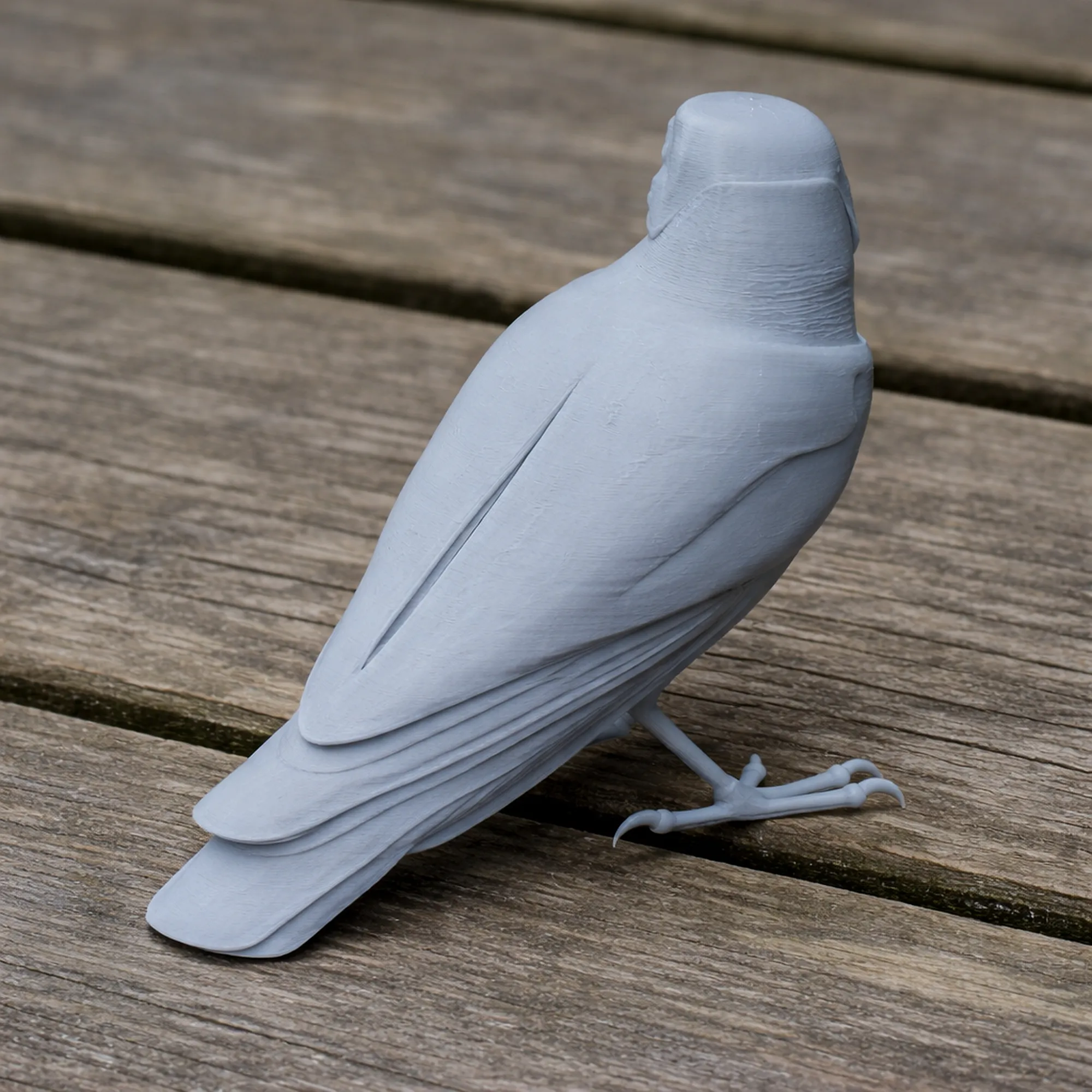 Trogon 3D Model .c4d .max .obj .3ds .fbx .stl .blend 