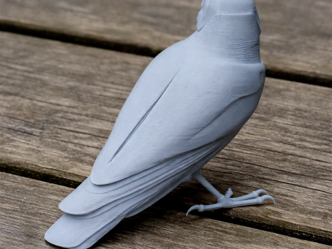 Trogon 3D Модель