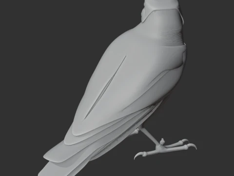 Trogon 3D Model