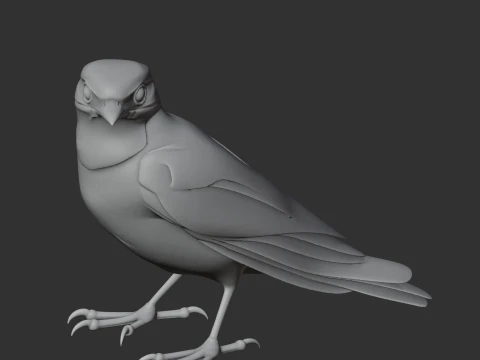 Trogon 3D Model