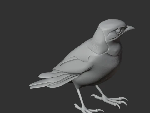 Trogon 3D Model