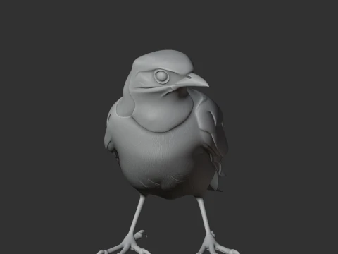 Trogon 3D Model