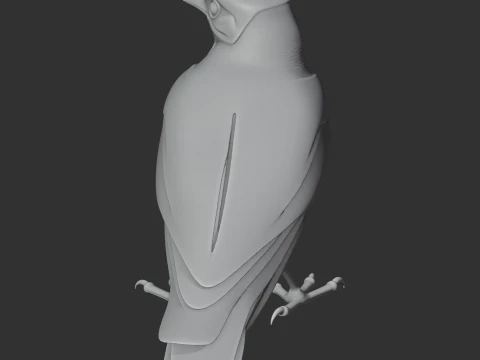 Trogon 3D Model
