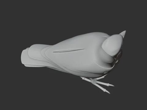 Trogon 3D Model