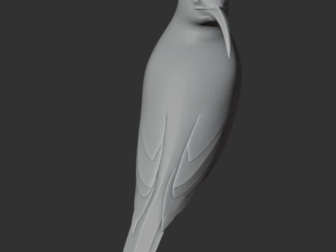 Vanga Bird 3D Model