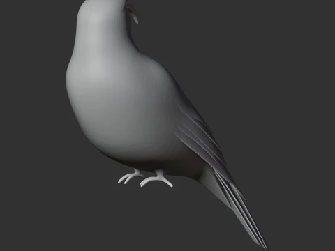 Vanga Bird 3D Model