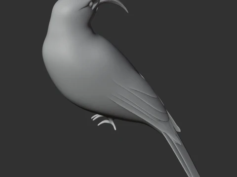 Vanga Bird 3D Model