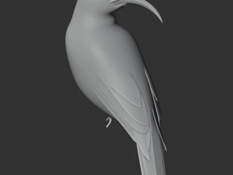 Vanga Bird 3D Model