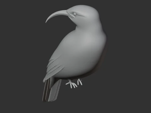 Vanga Bird 3D Model