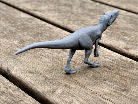 Vectaerovenator 3D Model