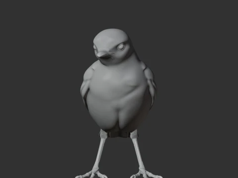 Wagtail Bird 3D Model